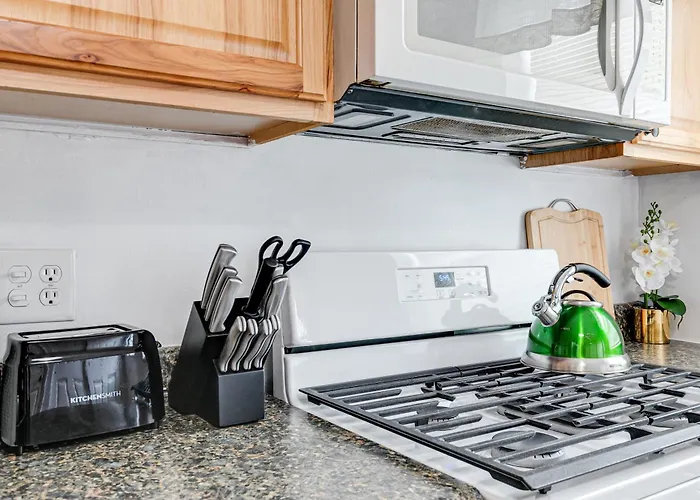 Peaceful & Spacious Family Home Near Carytown Fully Fenced